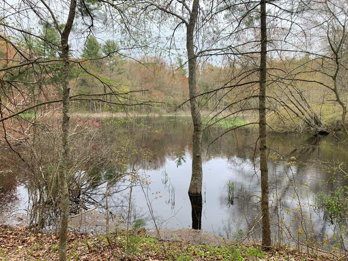 Bradley-Buchanan Preserve