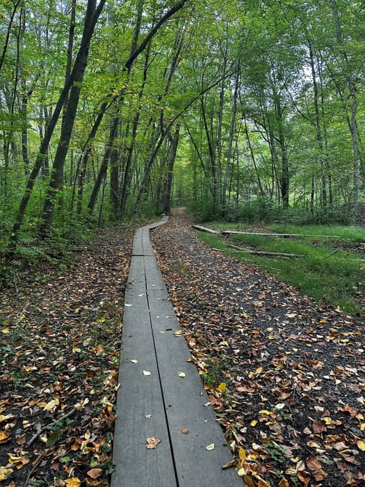 Brett Woods Open Space Area