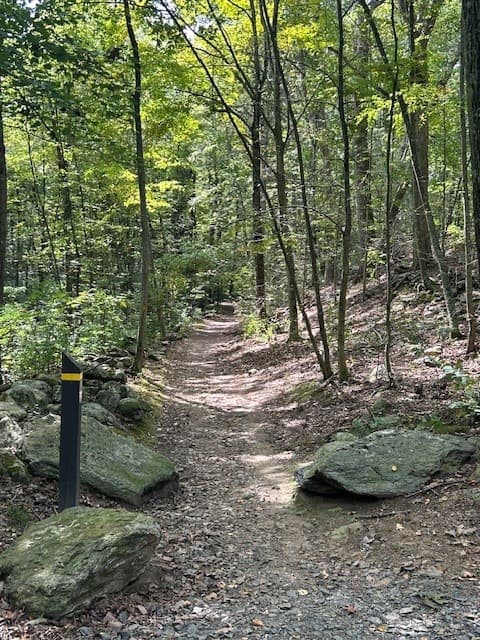 Brett Woods Open Space Area