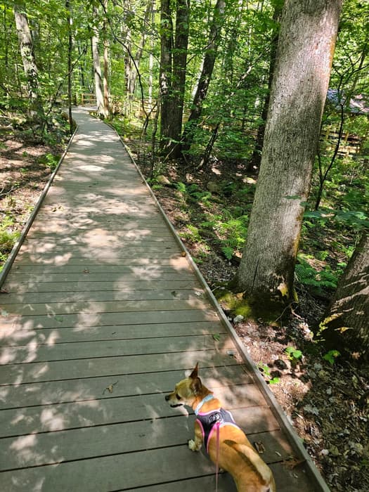 Fully accessible Wallace Barnes Nature Trail (Credit: C. O'Neill/NVCOG staff)