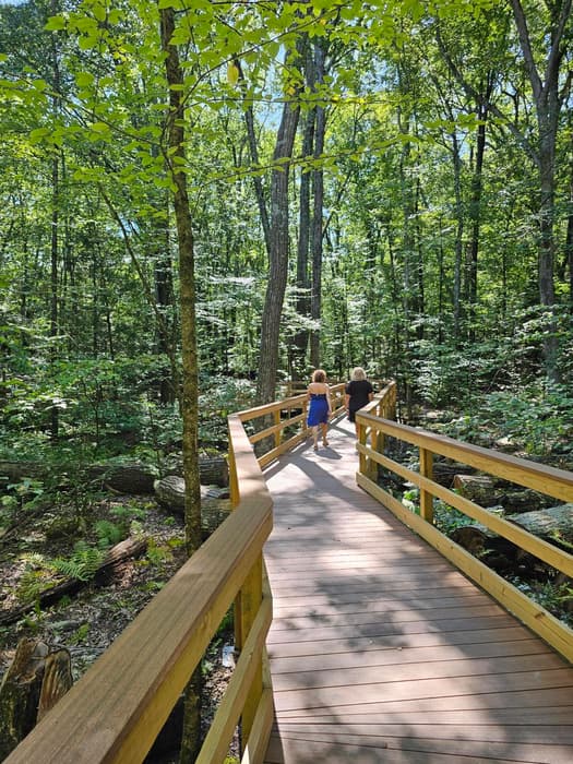 Fully accessible Wallace Barnes Nature Trail (Credit: C. O'Neill/NVCOG staff)