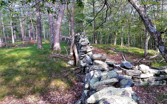 Hadlyme Hills
