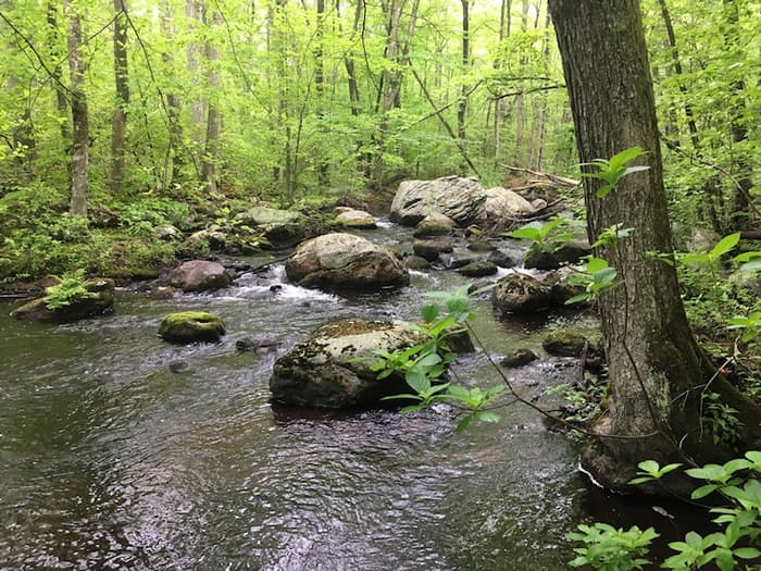 Falls River cascade during low water in the southwest corner of the Platt Property.