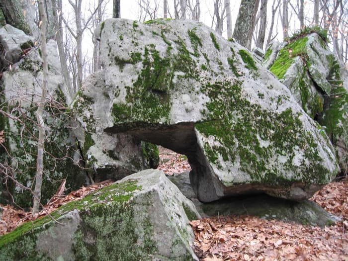 Elephant rock is a glacial erratic along the green trail.