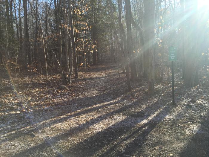 Camp Hadley