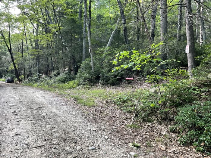 Quarry Road and trail access (Credit: A. Koepfer)