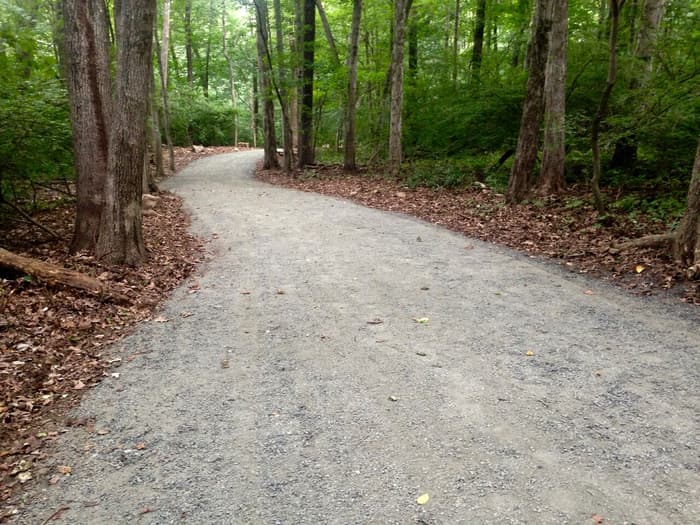 Classic winding trail on the Wilton Loop