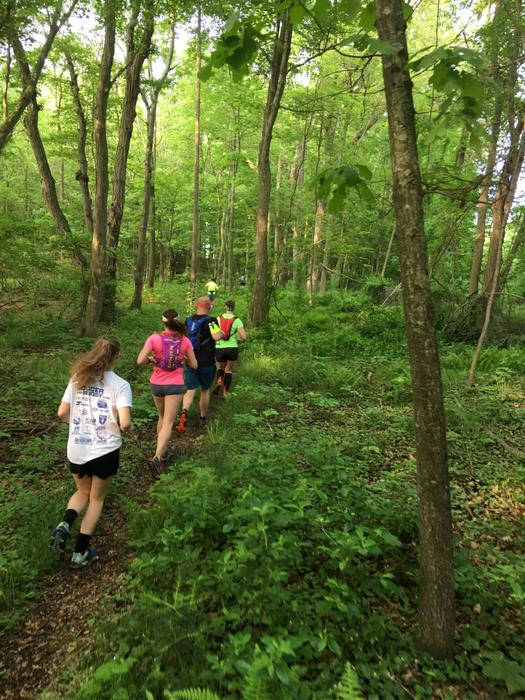 (Credit: Charlie Bilbie)