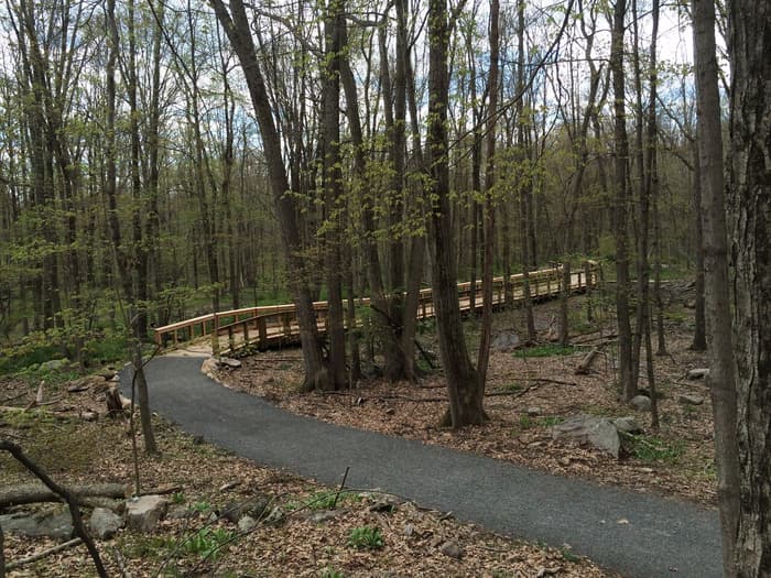 Curving trail and boardwalk