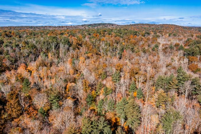 (Credit: Credit: Milton Levin, Levin Aerial Works)