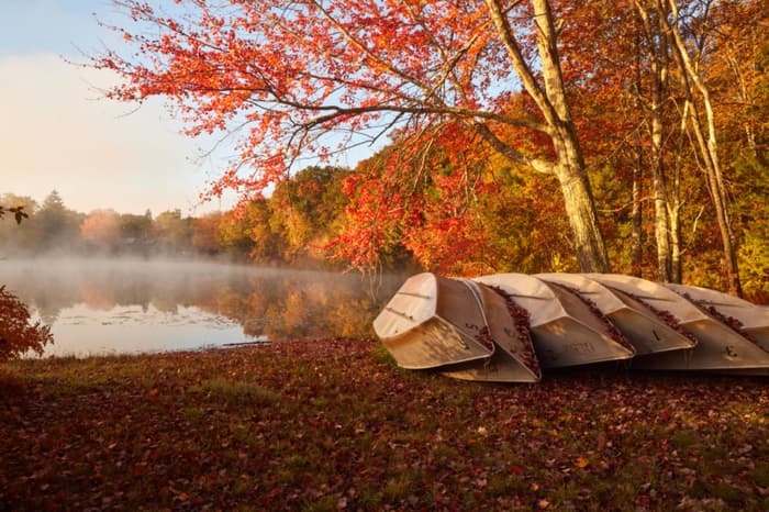 canoes next to Deer Lake in fall (Credit: Brian Carroll)