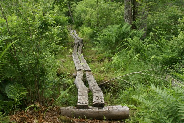 Sharon Mountain Preserve