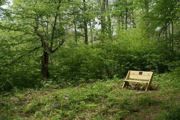 Sharon Mountain Preserve