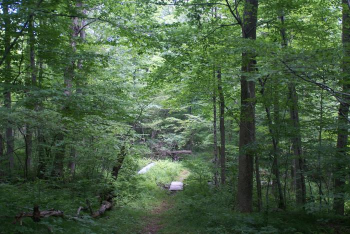 Skiff Mountain North Preserve