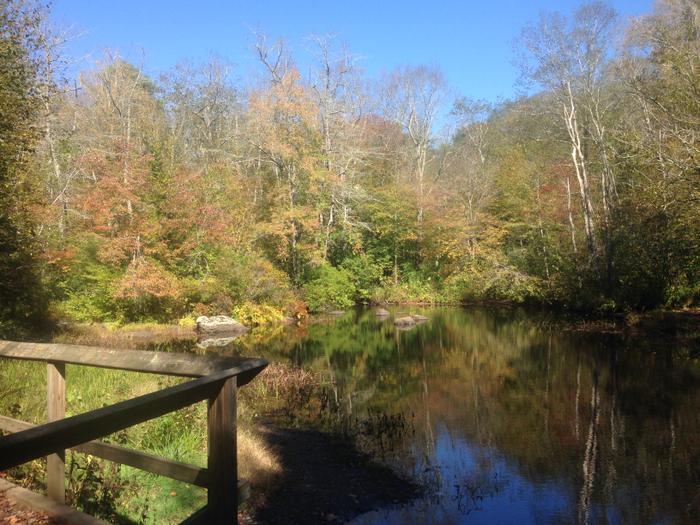 Fishing platform at Devil's Hopyard (Credit: Kim Bradley)