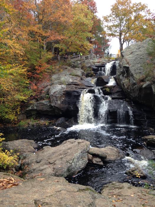 Chapman Falls in autumn. (Credit: Kim Bradley)