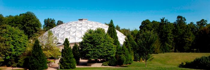 (Credit: Friends of Dinosaur State Park)