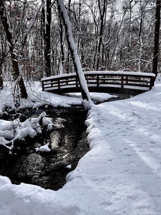 (Credit: E. Chiucarello)