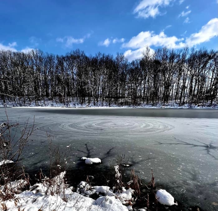 (Credit: E. Chiucarello)