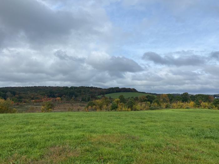 (Credit: Wyndham Land Trust)