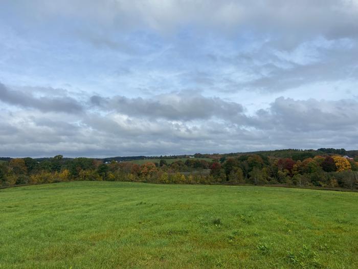 (Credit: Wyndham Land Trust)