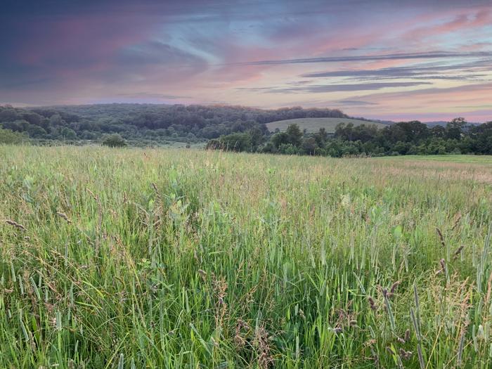 (Credit: Wyndham Land Trust)