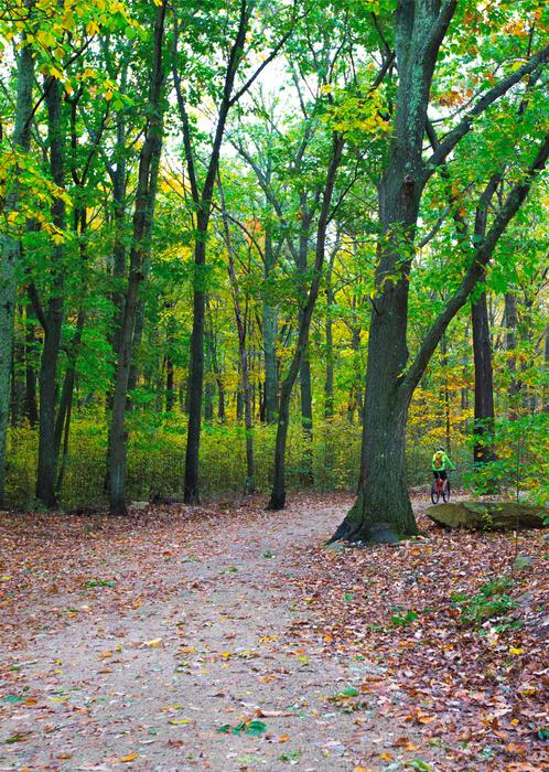 (Credit: Shoreline Greenway Trail, Inc.)