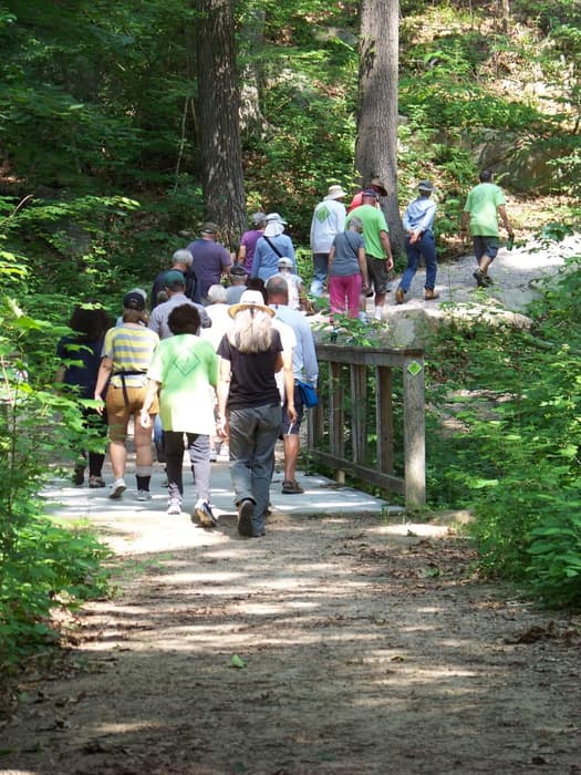 Shoreline Greenway