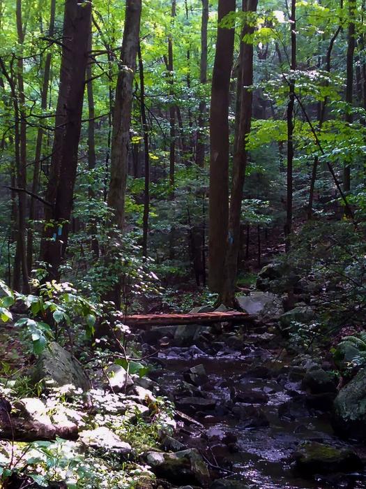 (Credit: Kathy Carlson)