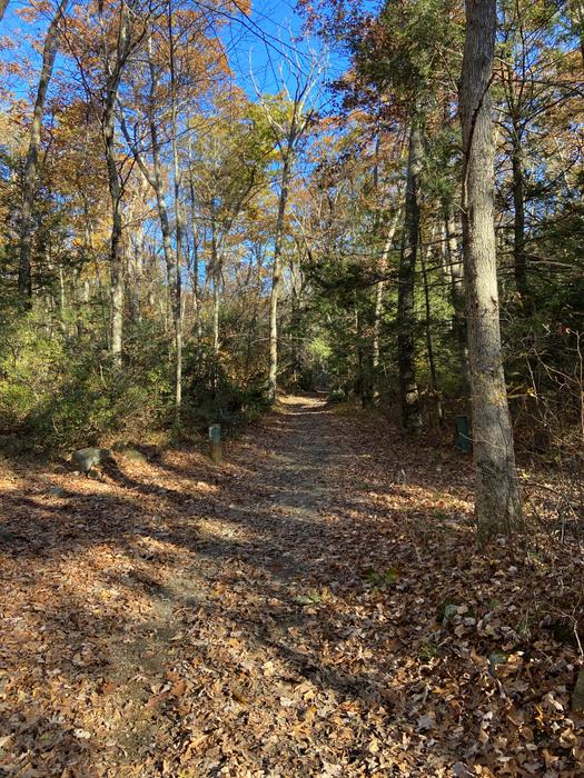 (Credit: Wyndham Land Trust)