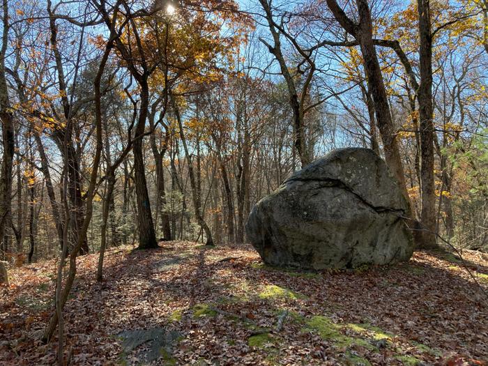 Big Boulder (Blue Trail) (Credit: Trail Finder staff/ AK)