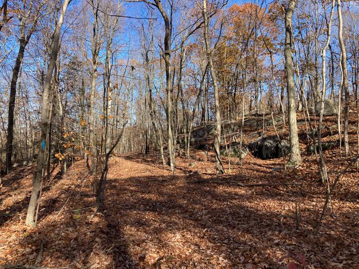 Blue Trail (Credit: Trail Finder staff/ AK)