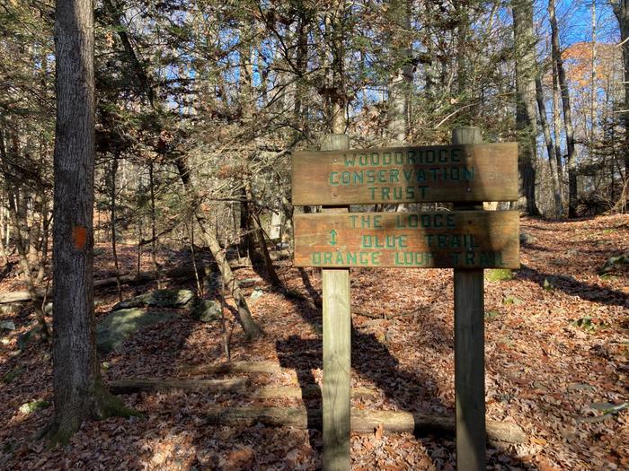 Junction Blue/ Orange Trails (Credit: Trail Finder staff/ AK)