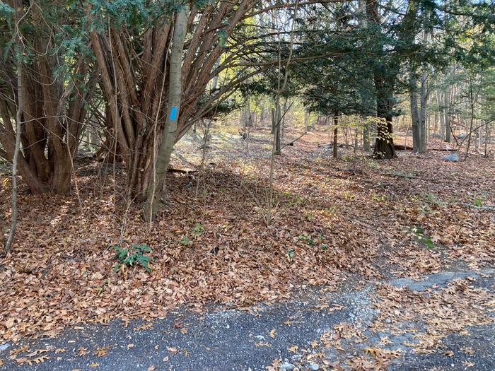 Trailhead from driveway to 124 Seymour Rd (Credit: Trail Finder staff/ AK)