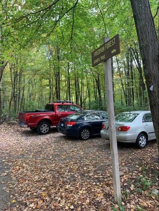 Friedman Forest Preserve