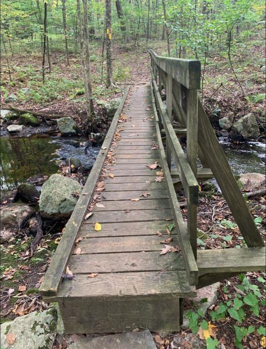 Friedman Forest Preserve