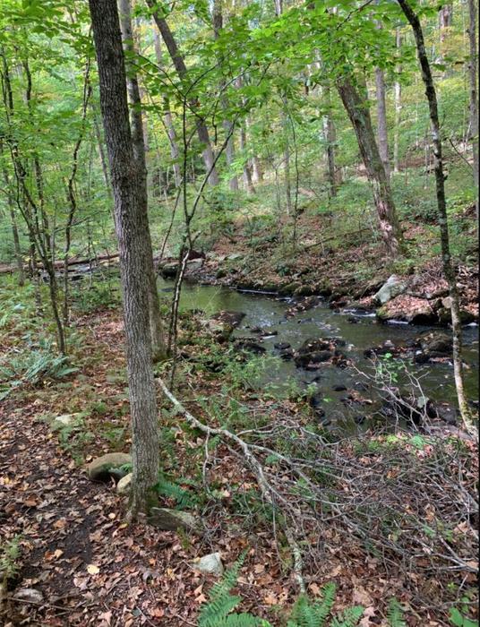 Friedman Forest Preserve