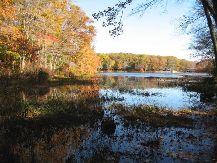 Birch Mill Pond near the start of the yellow trail.