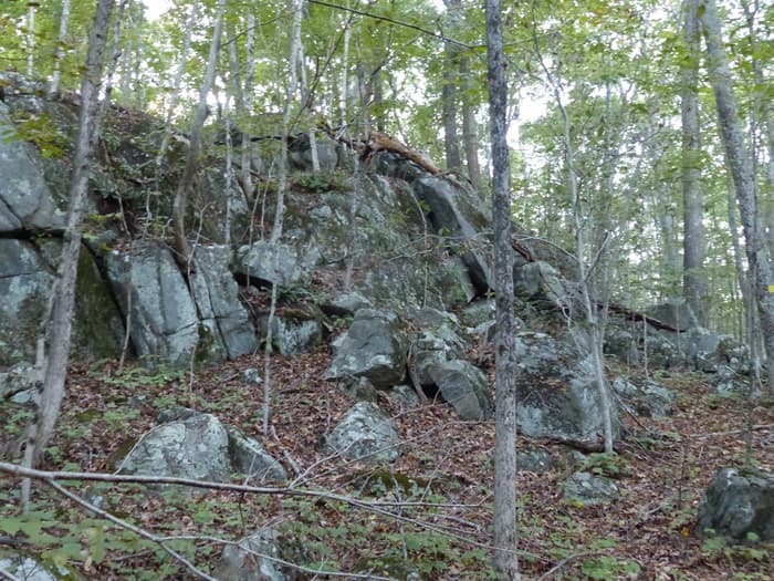 Exposed bedrock near the summit of the yellow trail.