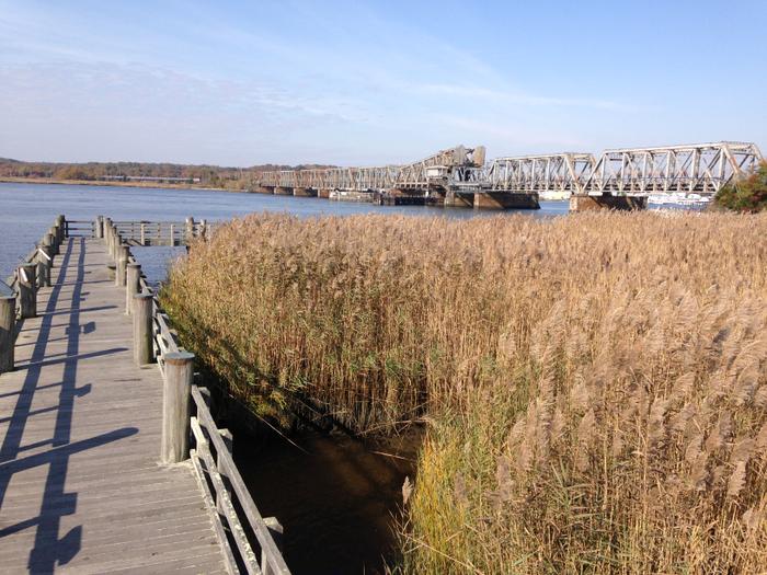 Boardwalk at Ferry Landing State Park. (Credit: Kim Bradley)