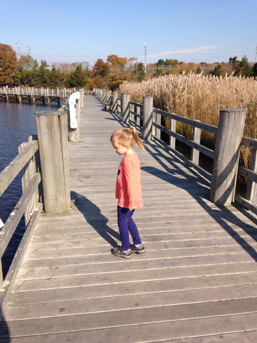 Walk on the boardwalk at Ferry Landing State Park. (Credit: Kim Bradley)