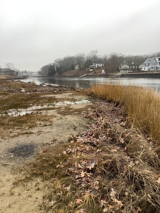 Fishing access - Riverside Park (Credit: C. Kelly)