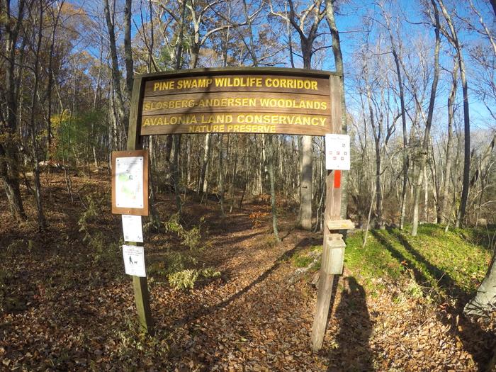 Pine Swamp Wildlife Corridor
