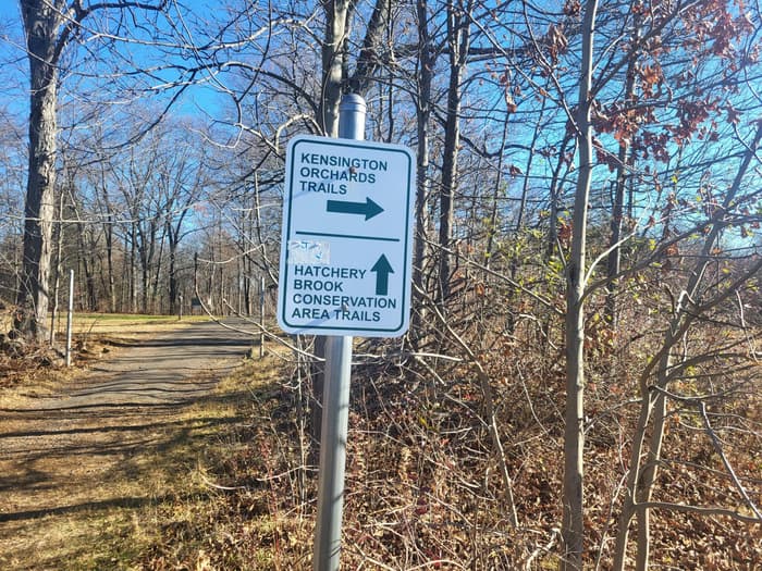 Junction Kensington Orchards/Hatchery Brook trails (Credit: H. Brierley)