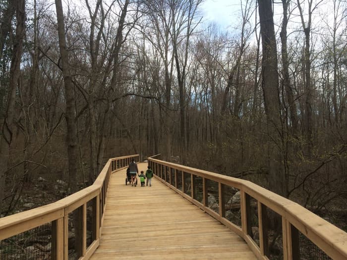 Elevated boardwalk - good for baby strollers too!