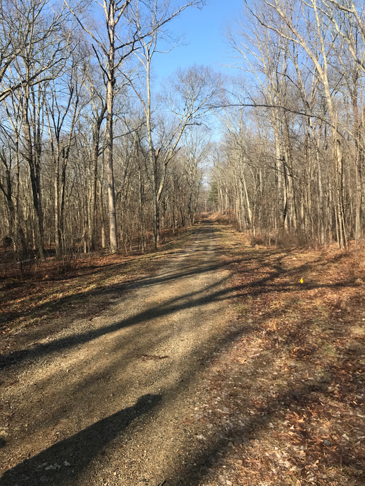 Hillside Environmental Education Park (HEEP)