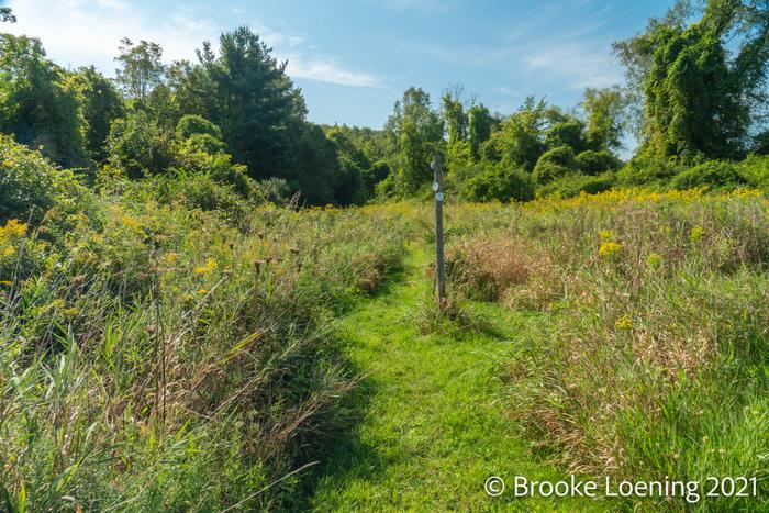 Hamlin Preserve