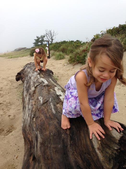 Climbing on drift wood at Hammonassett Beach State Park. (Credit: Kimberly Bradley)