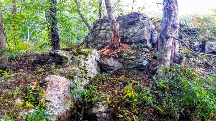 Hartman Park geologic feature (Credit: Wendy Hill)
