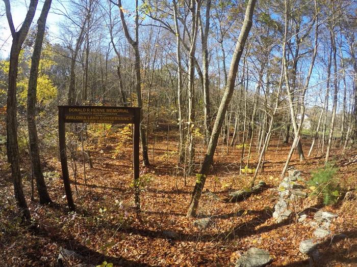 D.R. Henne Memorial & Shunock Brook Preserves